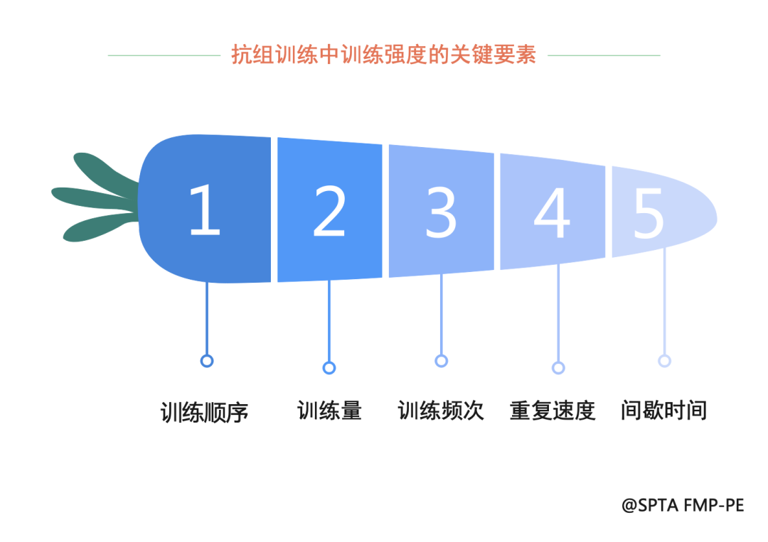 综合训练器使用_综合训练器训练计划_训练器综合计划是什么