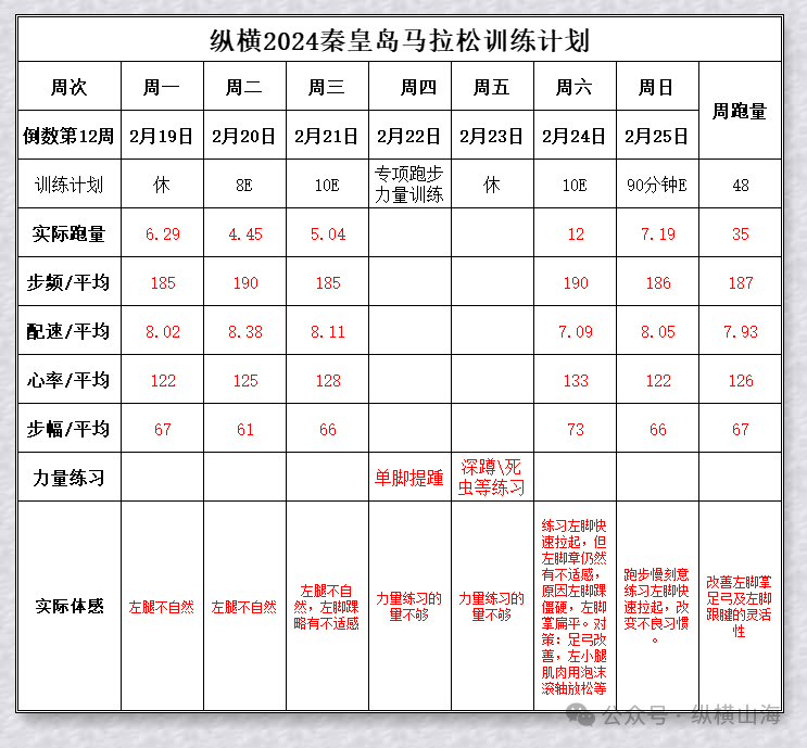 综合训练器使用_训练器综合计划怎么写_综合训练器训练计划