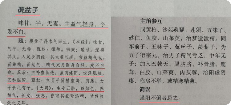 得枸杞喝长期皮肤黑好还是不好_喝枸杞皮肤会变黑吗_长期喝黑枸杞皮肤好得不得了