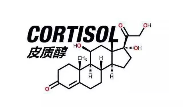 有氧运动为什么不能减肥_减肥可以只有氧吗_减肥做有氧运动吗