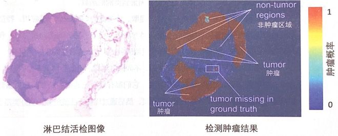 训练器是什么_360综合训练器介绍_训练器视频