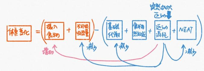 问鼎app官网下载安装 6个问题告诉你，为什么每天运动还没有减重？