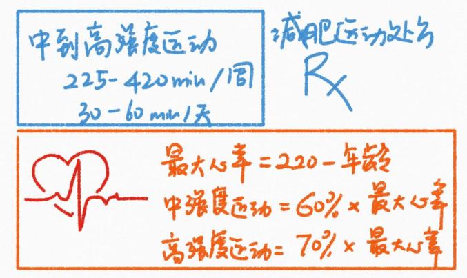 减肥椅子_健身椅可以减肥吗_减肥椅健身可以减肚子吗