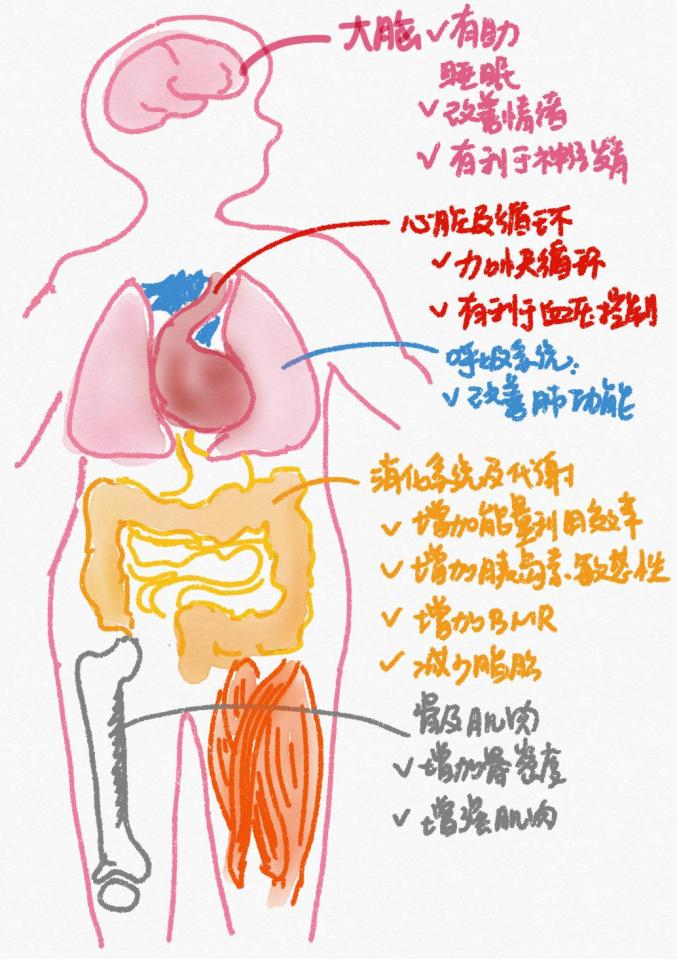 减肥椅健身可以减肚子吗_健身椅可以减肥吗_减肥椅子