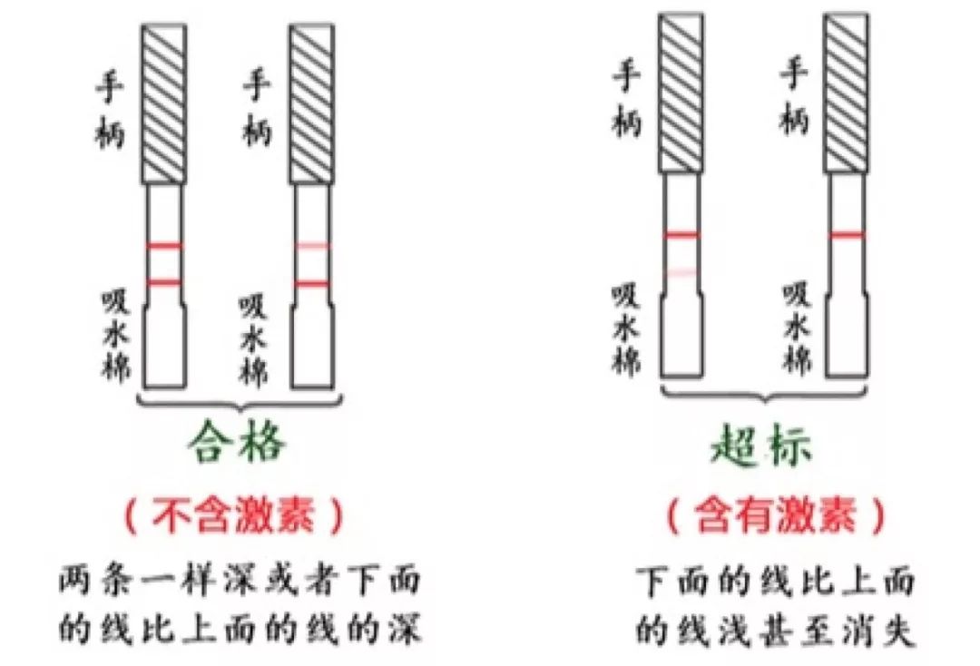 怎么测化妆品里有没有激素_有激素的化妆品怎么辨别_用了有激素的化妆品