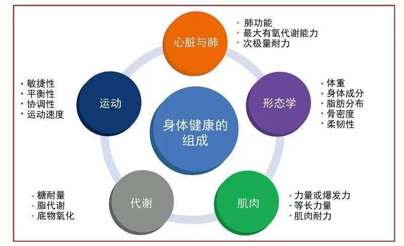 问鼎娱乐电子游戏 杨清教授解读《2020 ESC运动心脏病学及心血管疾病患者体育锻炼指南》