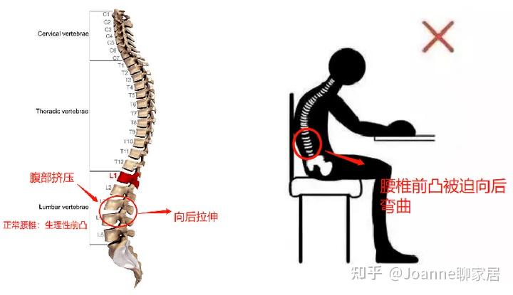 健身椅推荐_健身椅子_健身椅训练动作