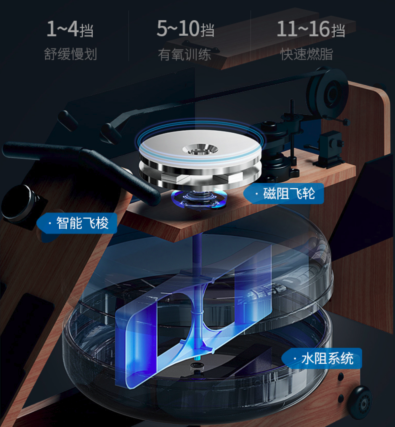 器材小型运动有哪些品牌_小型运动器械_小型运动器材有哪些