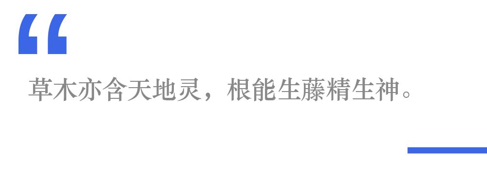 植物医生护肤品可以做微商吗_植物医生护肤品利润是多少_护肤品植物医生怎么样