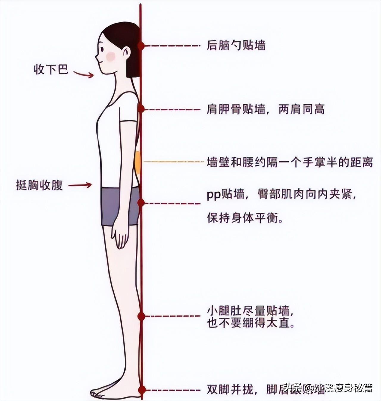 中年人腹部减肥_中年腰腹部减肥最快速的方法_中年怎么减腹部