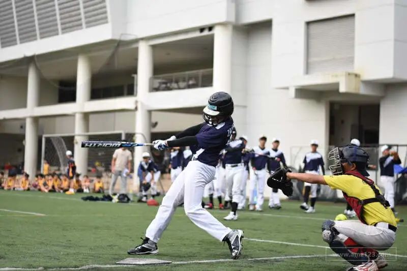 军霞综合训练器_综合训练器组装视频_综合训练器训练教程