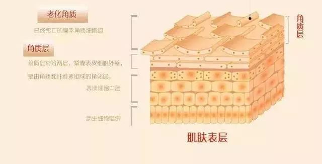 身上死皮是什么_身体出现死皮_身体死皮是什么原因