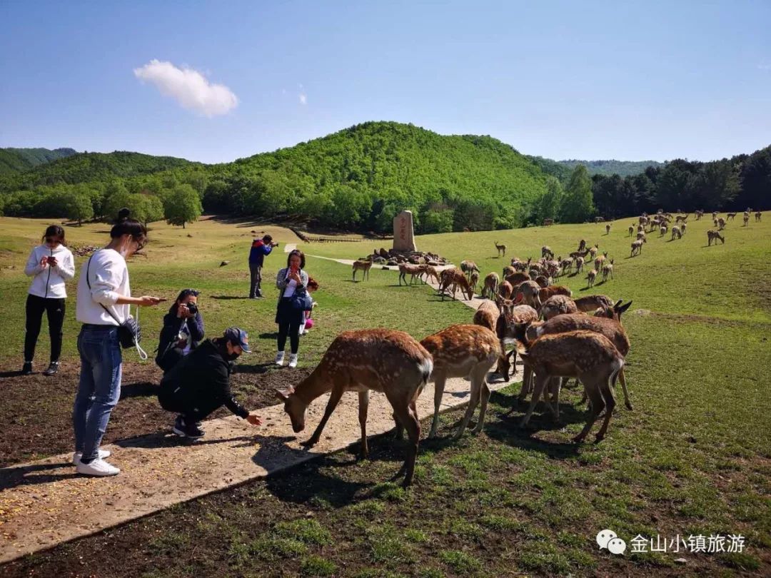 佳木斯旅游社_佳木斯市旅游_佳木斯旅游指南