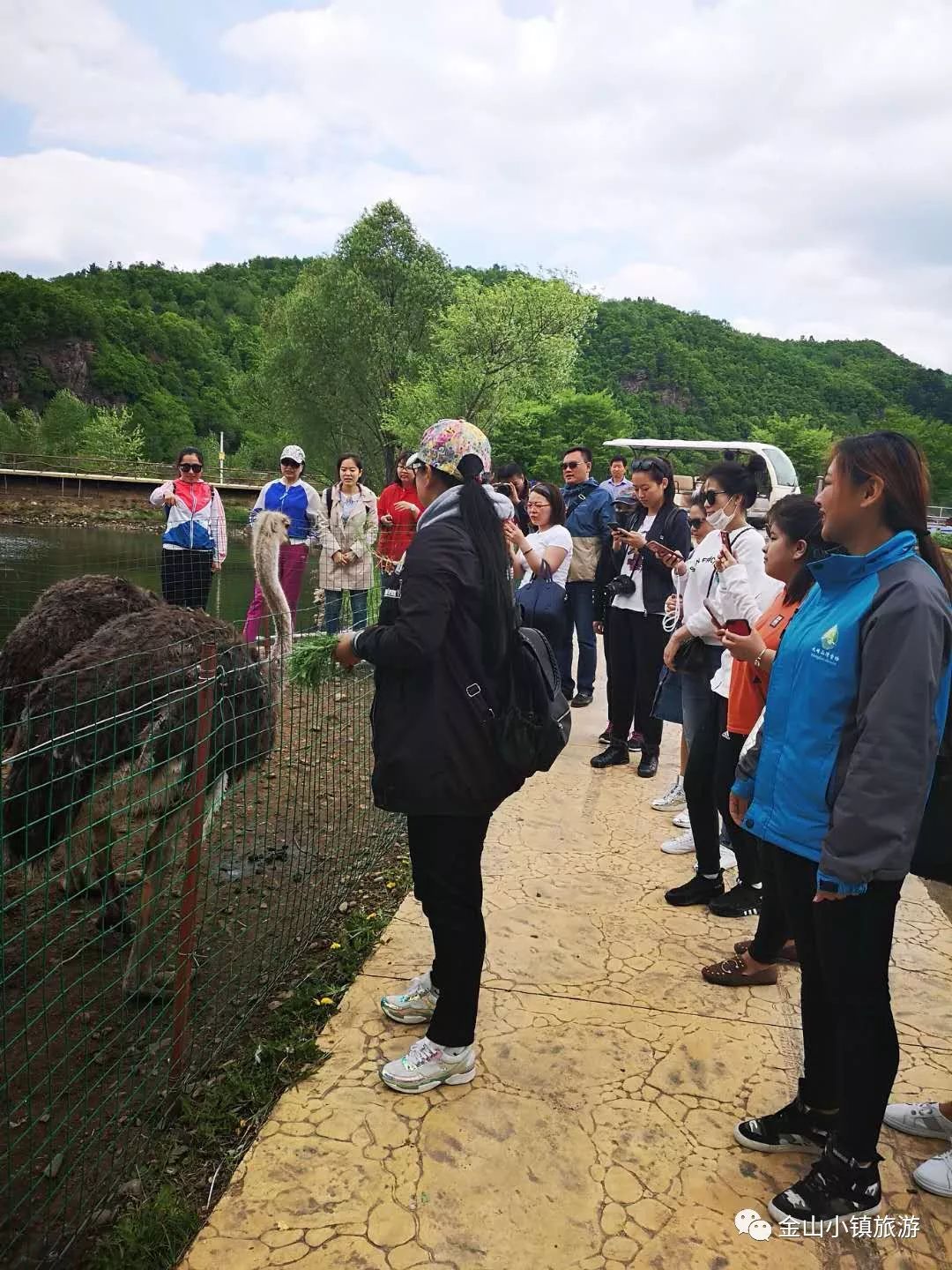 佳木斯旅游社_佳木斯旅游指南_佳木斯市旅游