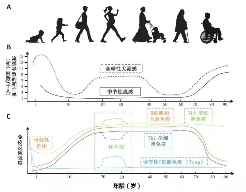 健身椅的好处_椅子锻炼身体_椅子健身