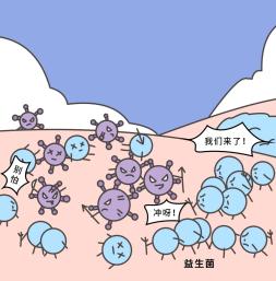 益生菌减肥药_减肥益生菌有用吗_益生菌减肥产品