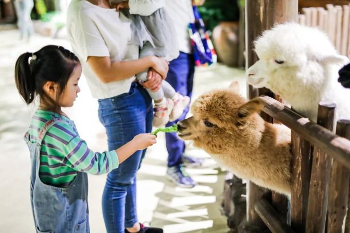 苑子文苑子豪的中国少年派_中国儿童少年地子自然体验基地_中国儿童职业体验馆