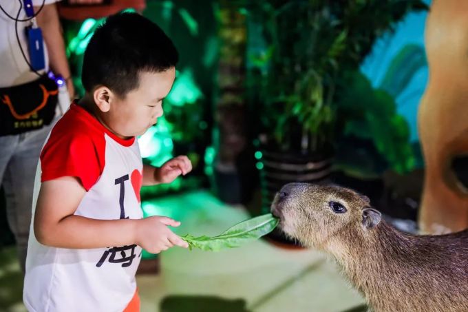 苑子文苑子豪的中国少年派_中国儿童少年地子自然体验基地_中国儿童职业体验馆