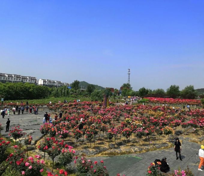 苑子文苑子豪的中国少年派_中国儿童少年地子自然体验基地_中国儿童职业体验馆