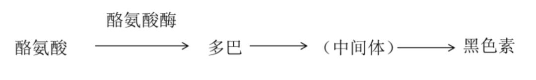 淡斑可以吃什么药_吃什么淡斑效果好_淡斑吃的