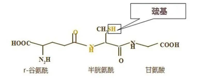 淡斑可以吃什么药_淡斑吃的_吃什么淡斑效果好