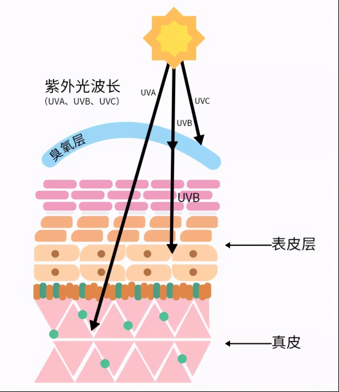 吃什么淡斑效果好_淡斑可以吃什么药_淡斑吃的