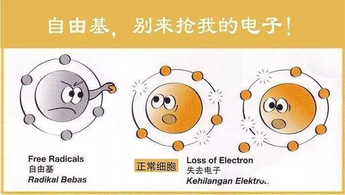 淡斑可以吃什么药_淡斑吃的_吃什么淡斑效果好