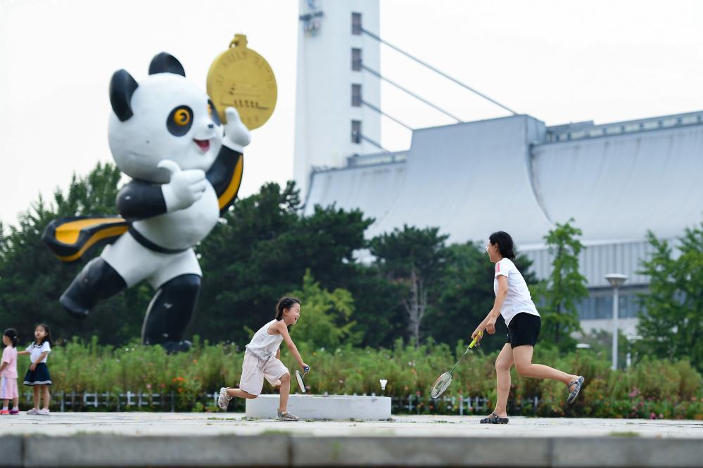 怎样训练德国牧羊犬站训练视频_五站综合训练器_三站综合训练器组装视频