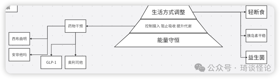 减肥药品种_减肥药哪种效果好还健康_效果减肥药种健康好的有哪些