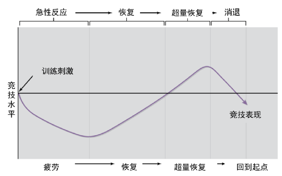 科技进步如何让跑步更轻松：盘点那些运动黑科技