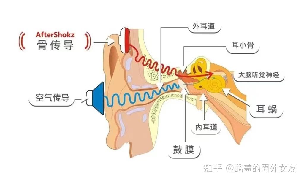 健身需要带手套吗_手套健身带需要戴多久_手套健身带需要注意什么