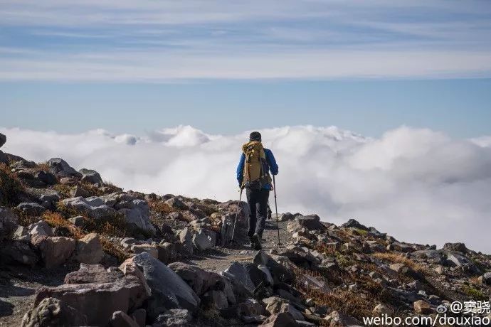 极限运动手套_健身手套_极限健身手套