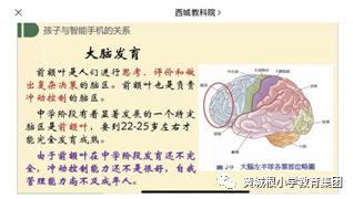 使劲放松双手飞起来会怎么样_使劲放松双手飞起来会瘦吗_双手使劲然后放松会飞起来