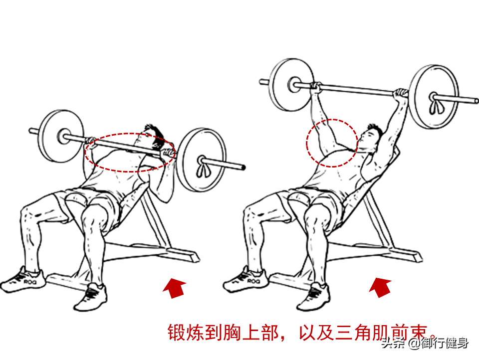 综合训练器 胸肌_器械胸肌训练_器械练胸