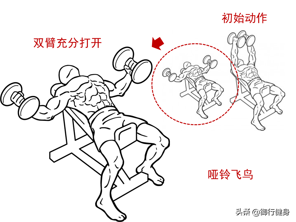 器械胸肌训练_器械练胸_综合训练器 胸肌