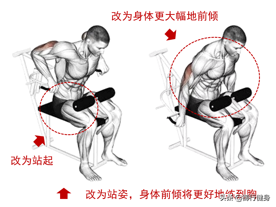 综合训练器 胸肌_器械胸肌训练_器械练胸