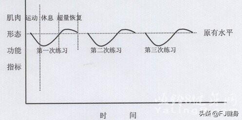 器械练胸_综合训练器 胸肌_胸肌训练器有用吗