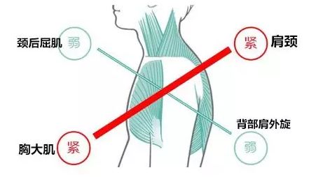 电流腹肌贴有用吗_电流腹肌贴有用么_电流腹肌贴能减脂吗