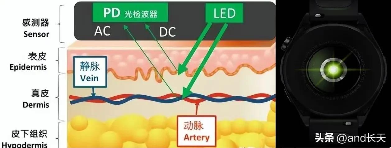 手套健身松紧怎么选_健身手套紧点好还是松点好_健身手套松紧