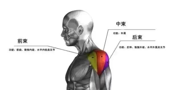 椅子练腹肌_健身椅练腹肌_用椅子练腹肌视频教程