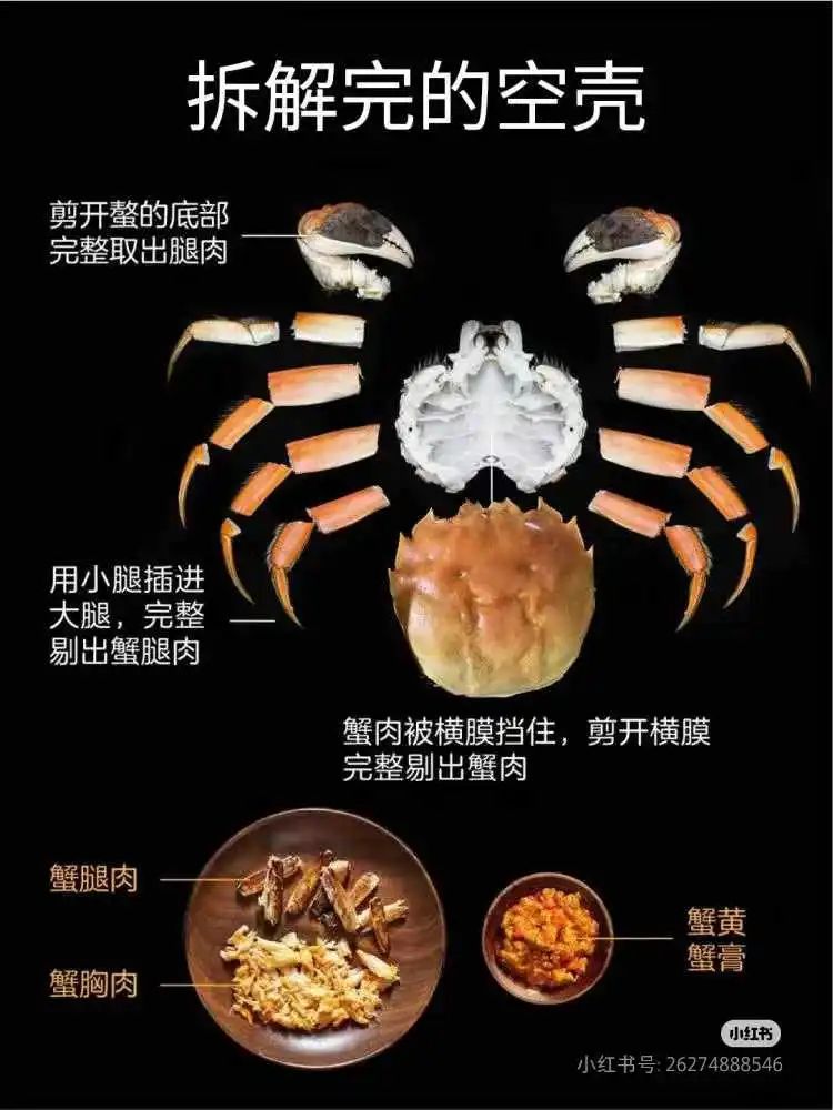 螃蟹图示_螃蟹能吃的部位图解_螃蟹详细图解