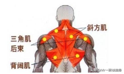 仰躺哑铃提拉_哑铃仰卧屈臂上提视频_做仰卧哑铃提拉在健身椅上吗