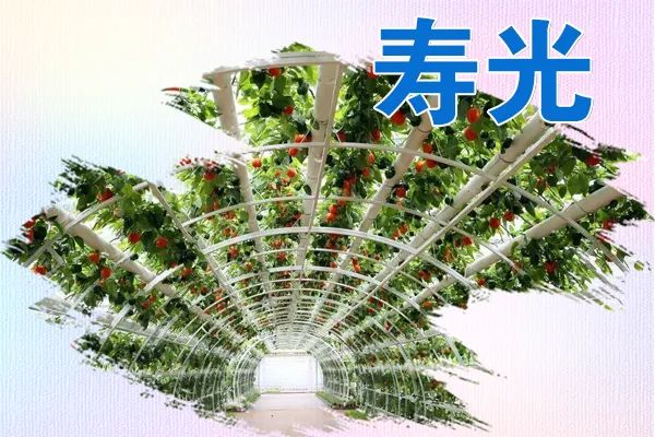 广场舞健身操2015新款_广场舞健身操2025_2020广场舞健身操