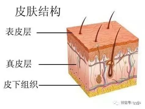 健身手套作用_健身运动手套_健身用的手套