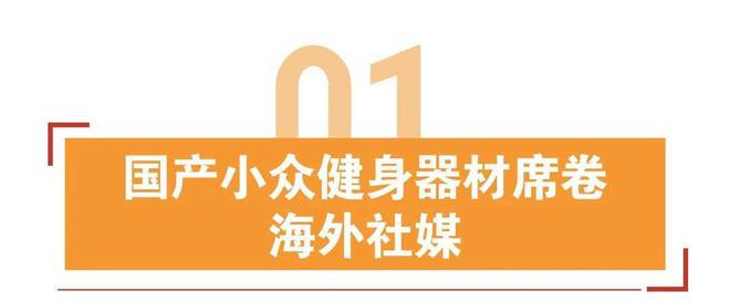 家用综合训练器_家用综合训练器训练计划_家用综合训练器哪个牌子好